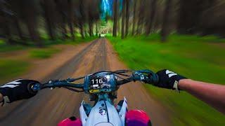 2024 YZ450F 50th Anniversary Edition WOODS RIDE!!! #2 (PURE SOUND) 4K