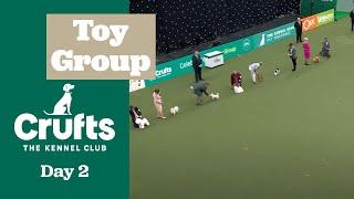 Toy Group Judging | Crufts 2025