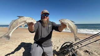 Winter Surf Fishing! These underrated fish are delicious! | Whiting | Catch Clean Cook