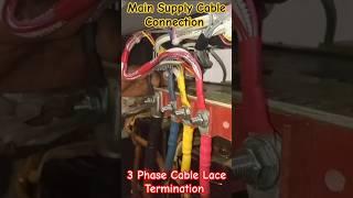 3 Phase Cable Lace Terminating  #shorts #electrical #cable #mcb #wiring