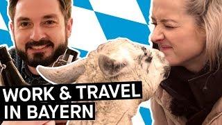 Work & Travel in Deutschland – Wer macht sowas eigentlich? || PULS Reportage