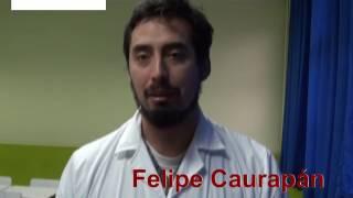 NOTICIA LICEO INSULAR BASICA FELIPE CAURAPAN PROFESOR Y TALLER DE PERIODISMO