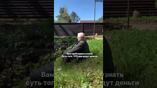 Как стать богатым?