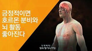 긍정적이면 호르몬 분비와 뇌 활동 좋아진다 - (2011.11.26_393회 방송)_브레인 가든