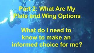 #49 - Part 2 - Backplate and Wing Systems:  What are my plate and wing options?