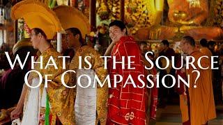 What is the Source of Compassion?