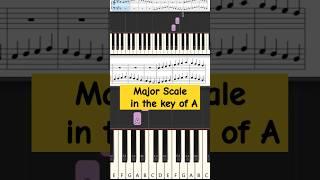 Major Scales daily practice in the key of A