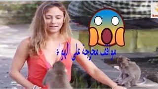 اقوى لحظات  محرجة  لا تنسى حدثت على الهواء مباشرة للمذيعات و للمذيعين