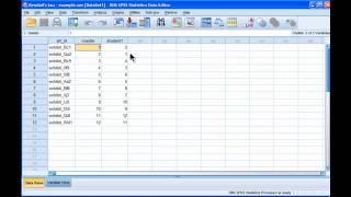 Kendall's tau - SPSS