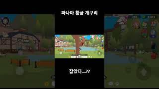 게임에서 개구리 잡고 난 뒤 반응 ㅋㅋ #playtogether #플레이투게더 #shorts