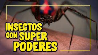 Insectos con SUPERPODERES de COMICS!!!