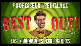 The BEST OUF du PROFESSEUR FEUILLAGE  saison1