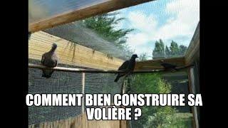 Comment bien créer sa volière?