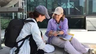 NYC Audubon bands Javits Center birds