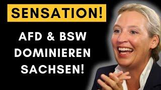 BSW stimmt erneut AfD-Antrag zu – Altparteien stinksauer!