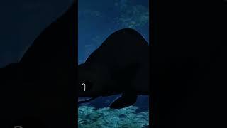 Спокойной ночи Чёрная молния прикол