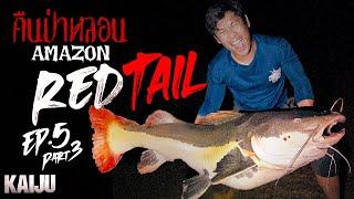 คืนป่าหลอนแอมะซอน!!! เหตุการณ์ลี้ลับตอนล่าปลายักษ์! Redtail Part 3 [Kaijin’s Kaiju Ep.5 Pt. 3]