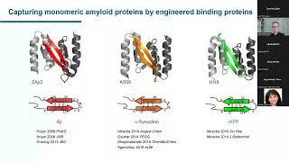 Dr. Wolfgang Hoyer and Dr. Ujjayini Ghosh - ZOOMinar on "Proteinopathy" (July 11 2022)