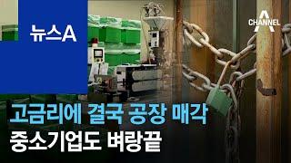 고금리에 결국 공장 매각…중소기업도 벼랑끝 | 뉴스A