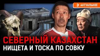 Почему казахские украинцы любят Путина? Голая граница с Россией.