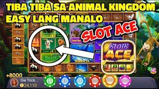 TIBA TIBA NA NAMAN SA ANIMAL KINGDOM | SLOT ACE TRICKS