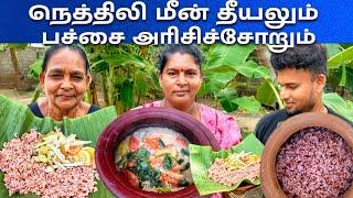 நெத்திலி மீன் தீயலும் பச்சை அரிசிச்சோறும் | Jaffna | Sun Thanesh