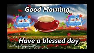 Good Morning Video,Good Morning Whatsapp Status,Good Morning Wishes,Good Morning E-Card,Morning Sms