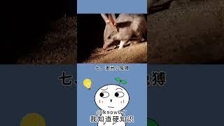 盘点已经灭绝的十种动物！#冷知识 #涨知识 #百科 #知识 #自然#生活#宠物#动物 #animal  #history #animals #普通话 #搞笑 #遊戲 #游戏 #国家 #恐龙 #消失