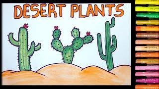 how to draw desert plant easy | cactus drawing