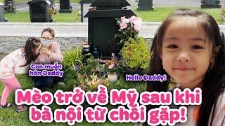 Trở về Mỹ Điều Đầu Tiên, Mèo nghẹn ngào hỏi Mommy: 'Tại sao Daddy lại nằm ngủ dưới cỏ? I Đức Tiến