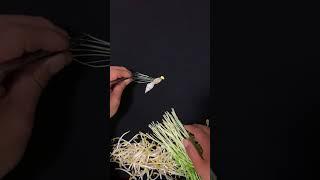 Bean sprout painting art on Douyin Discover beauty Bean sprouts Good bean sprouts Golden beans C