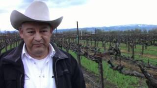 Winemaker Profile: Reynaldo Robledo - Robledo Family Winery