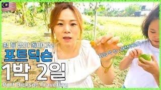  말레이시아 찐!! 로컬 휴양도시에서 1박2일 (전국일주 4-셀렘반주)