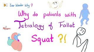 Tetralogy of Fallot (TOF)  Patients Squat a lot…Ever Wonder Why? ‍️