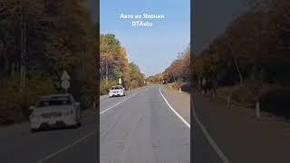 Перегон Honda Freed под заказ из Японии. #автоизяпонии #перегон @dikimitropami