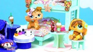  LPS Ebay Haul!  REAL or FAKE LPS? Vintage Littlest Pet Shop and Cool LPS Accessories Toy Opening