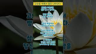 #지혜의길 #부처님말씀 #명상 #마음의평화 #명언 #마음의소리로쓰는글 #좋은글