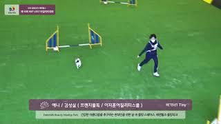 20211212 비기너1 김성실 애니