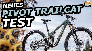 NEU! Pivot Trailcat 2025 im Test – DAS beste Trailbike? ‍️