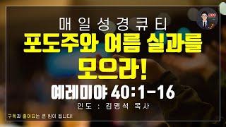 매일성경 [말씀 묵상 큐티 #렘] 예레미야 40장 1~16절