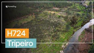  Serenity in Portugal: Rustic Property of 5,6 Hectares Bordering a River! H724 Tripeiro - €45,000