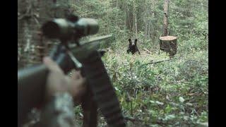 Chasse à l'ours noir : les essentiels - Sépaq