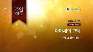 2024.9.29 _ 아마새의 고백 (조성원 목사)_ 생명의말씀선교회 (서울양천교회)