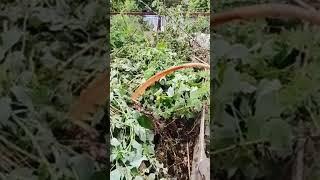 Водоносный Горизонт в действии
