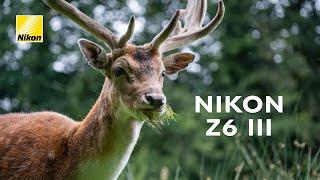 First Look Review | Nikon Z6 III - the best HYBRID camera?!?