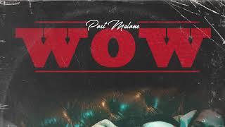 Post Malone - Wow. (Instrumental)