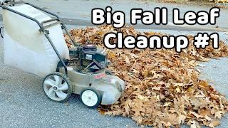 Big Fall Leaf Cleanup #1 - Late October