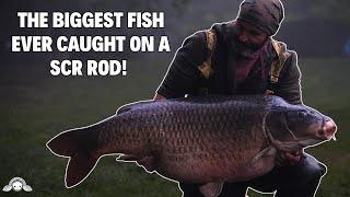 THE BIGGEST FISH EVER CAUGHT ON A SCR ROD! #CARPFISHING