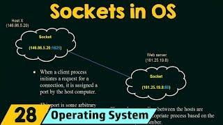 Sockets in Operating System