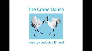 The Crane Dance - Ludovico Einaudi, , 2010